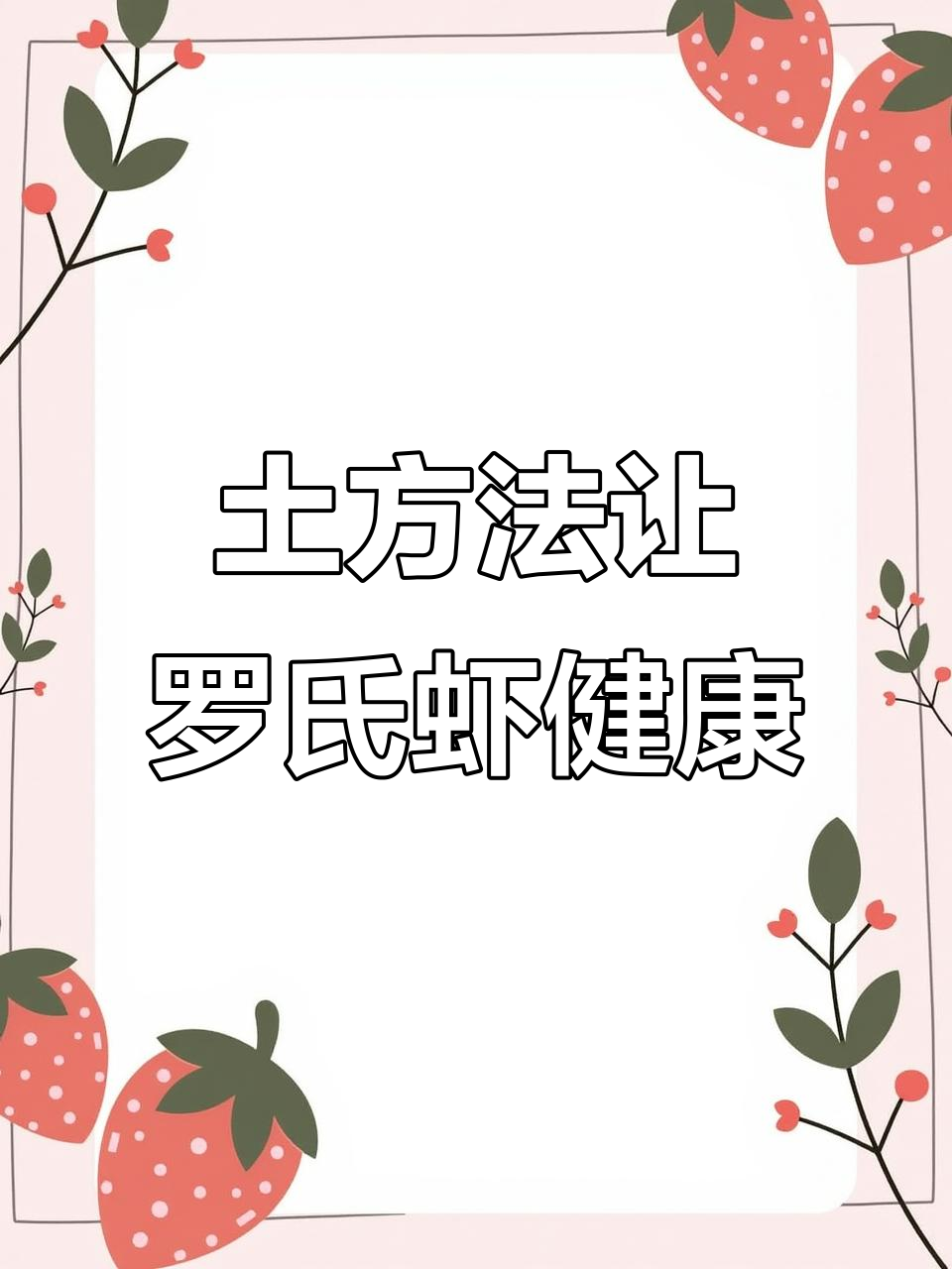 罗氏虾最怕的秘密,三到五天解决白头红体问题