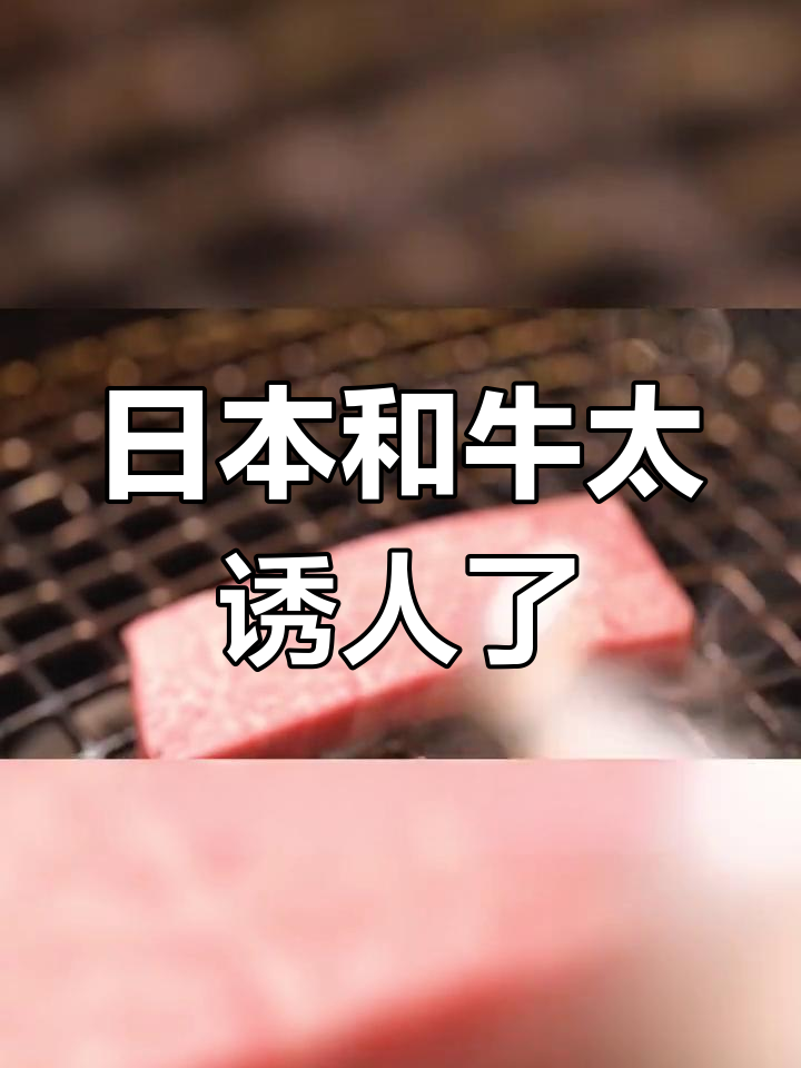 飞弹牛,日本顶级美味挑战