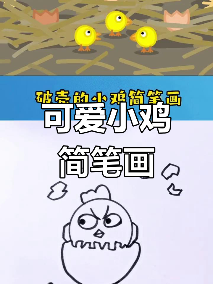 小鸡宝宝破壳而出,春天来了!一起画萌小鸡