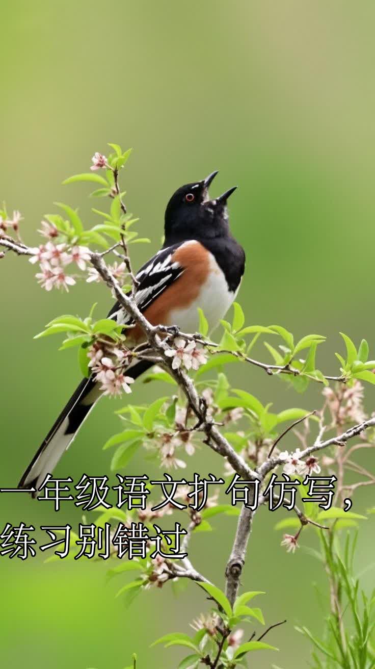 一年级语文扩句仿写,练习别错过