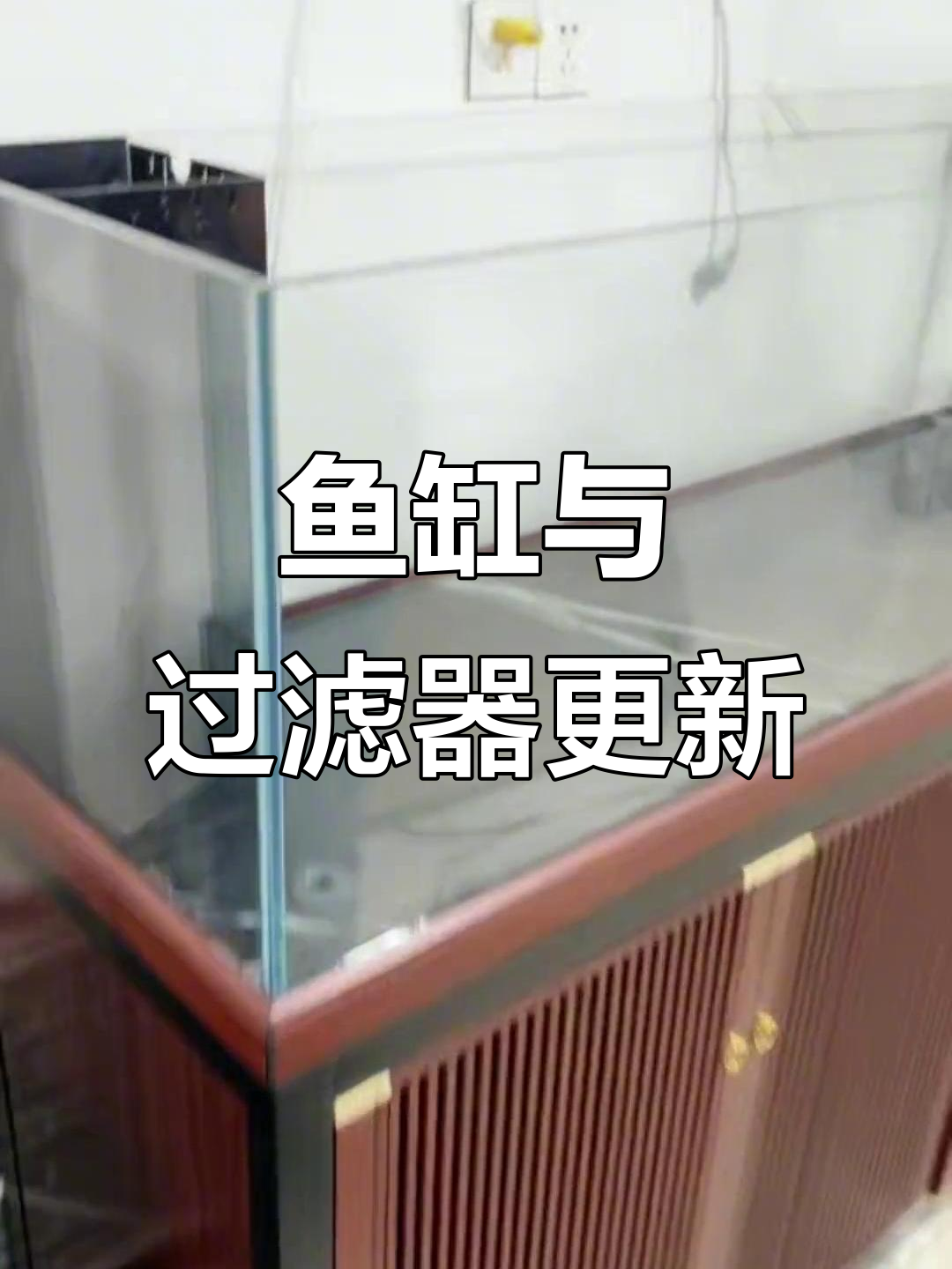 鱼缸升级大变身,过滤系统全新设计!