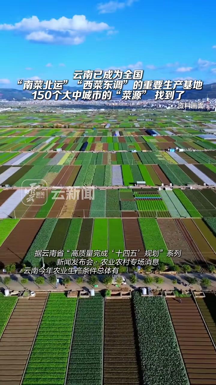云南已成为全国“南菜北运”“西菜东调”的重要生产基地