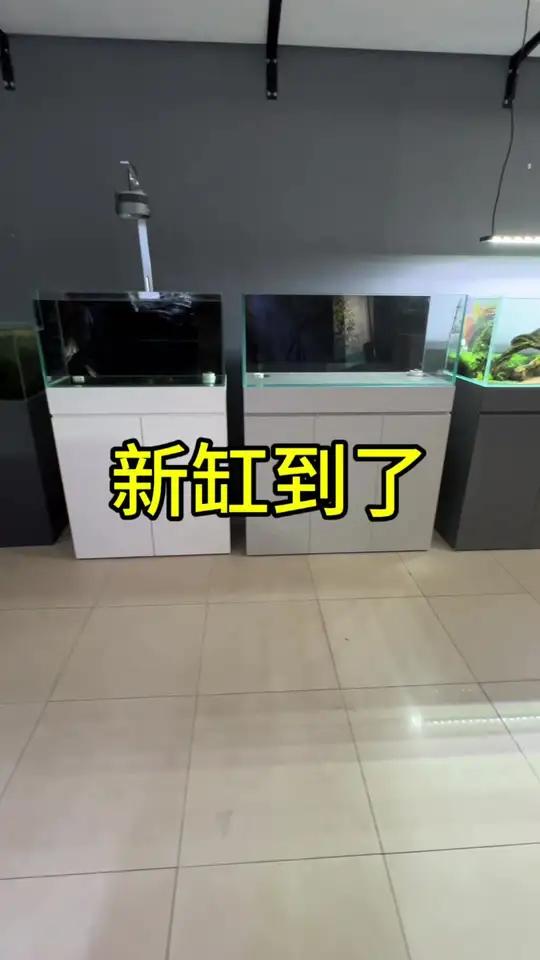 到新缸啦 造景 鱼缸造景 沉木造景