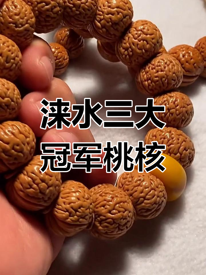 河北涞水三大顶级桃核皮质解析:金鱼肚、磨盘与小金豆