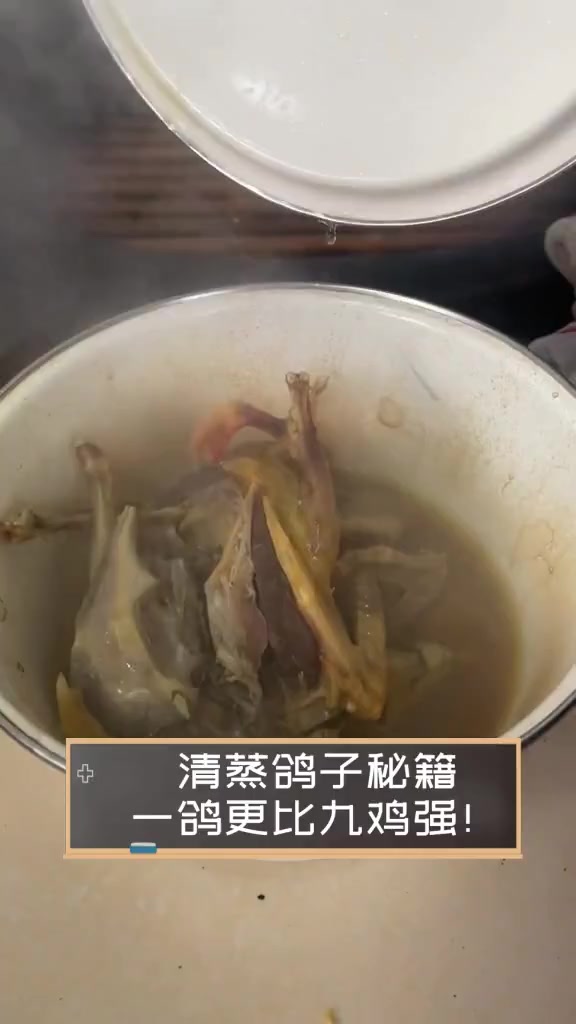 清蒸鸽子秘籍,一鸽更比九鸡强!