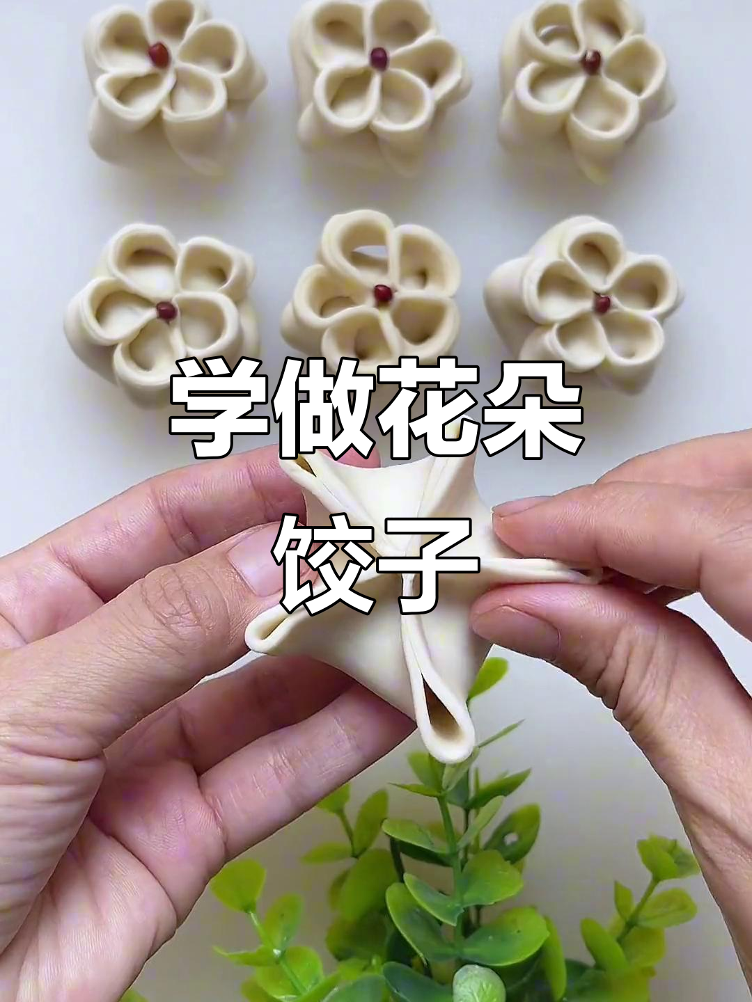 简单步骤教你包太阳花饺子,一学就会