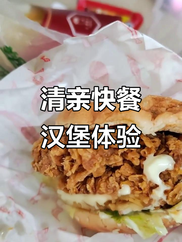 清华亲亲快餐香辣鸡腿堡,薯条可乐全都有