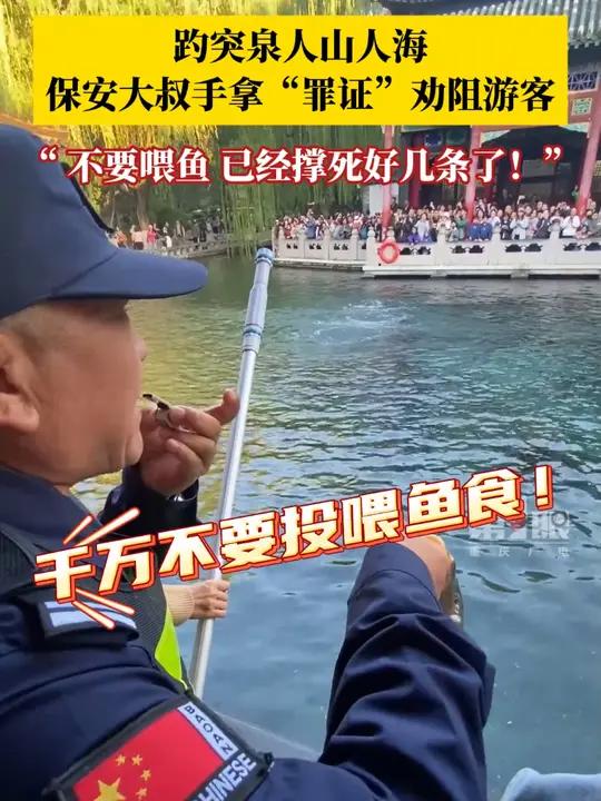 国庆长假最大“受害鱼”出现了!10月4日,山东济南,趵突泉保安大叔劝阻游客不要喂鱼:已经撑