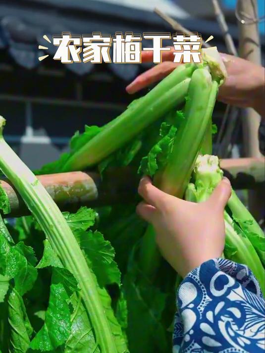 手工腌制梅干菜：无硫无防腐剂，吃的就是放心