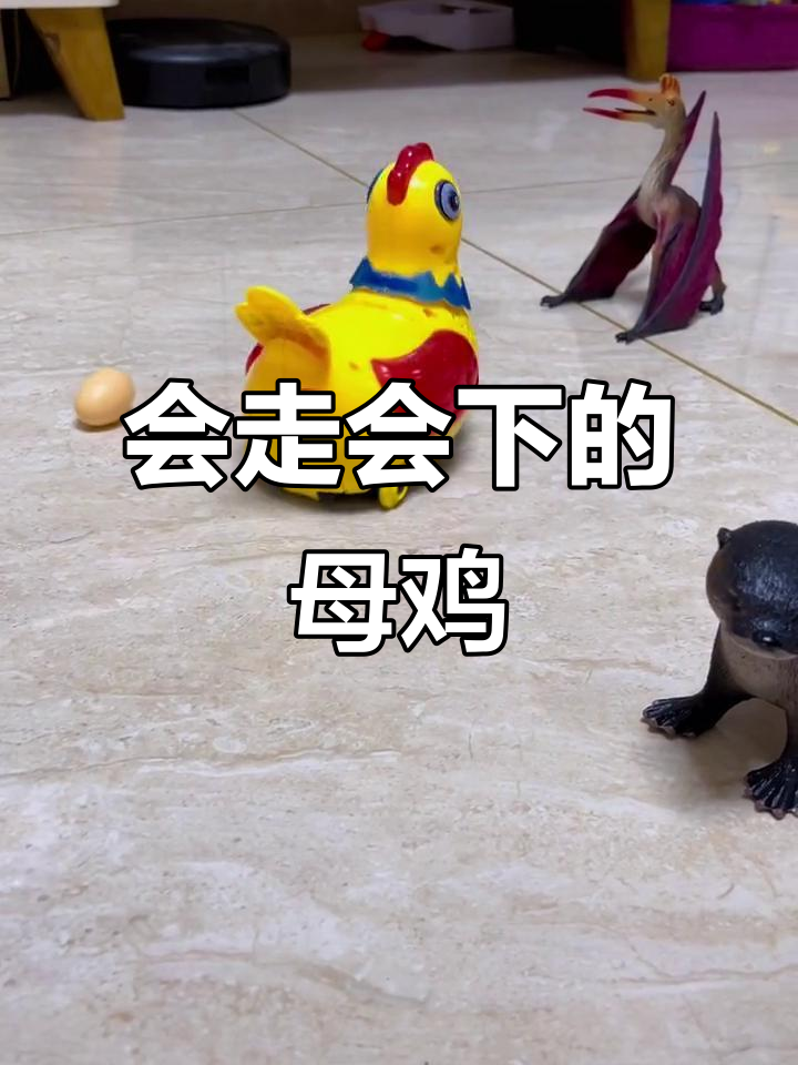 母鸡走路下蛋,炫酷灯光与音乐相伴