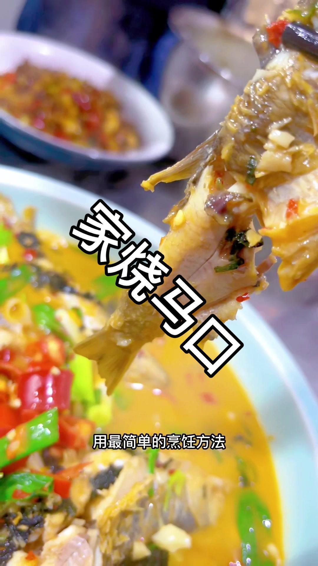 你们学废了吗 马口鱼 开化小溪鱼