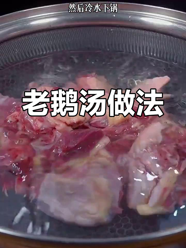 经典老鹅汤,鲜美滋补