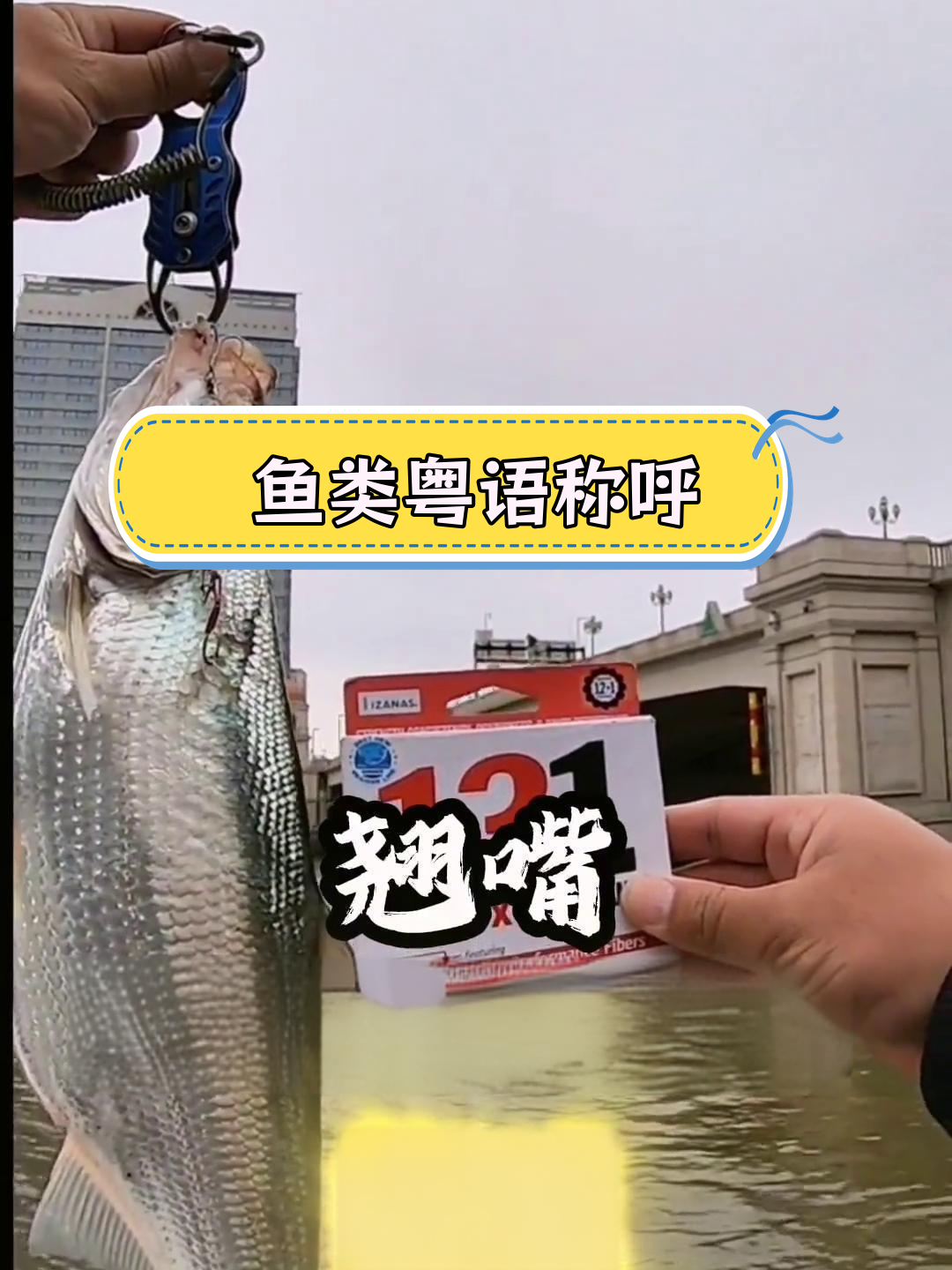 广东话中鱼类的传统叫法解析