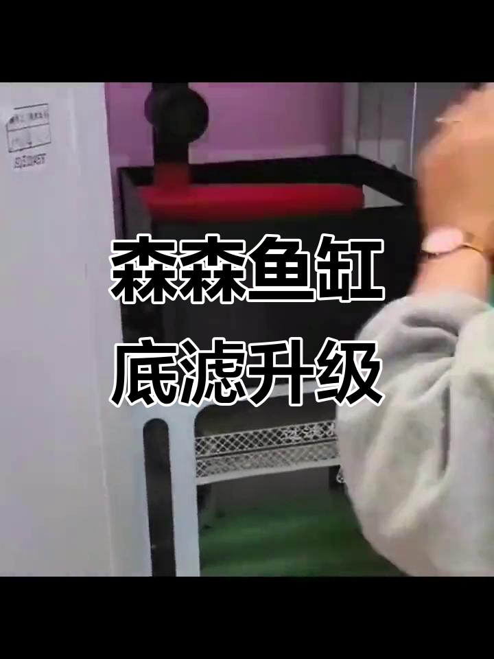 森森鱼缸改造底滤,干湿分离更高效,雨淋抽屉设计超赞