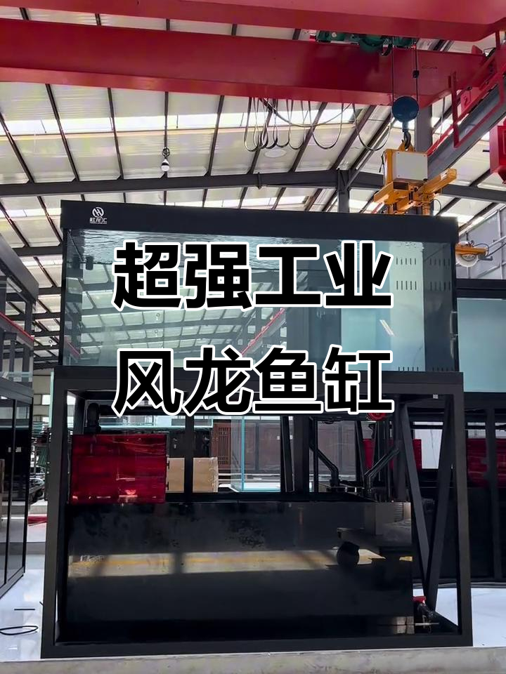 工业风龙鱼缸：超白玻璃与干湿分离设计，打造高效水循环