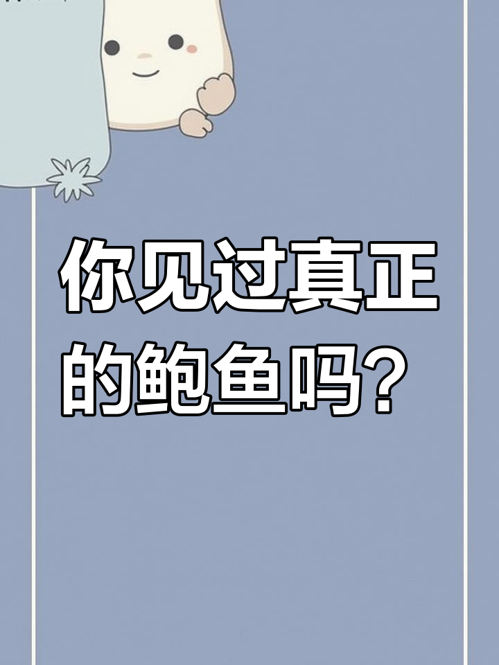 鲍鱼真相大揭秘,原来它长这样!