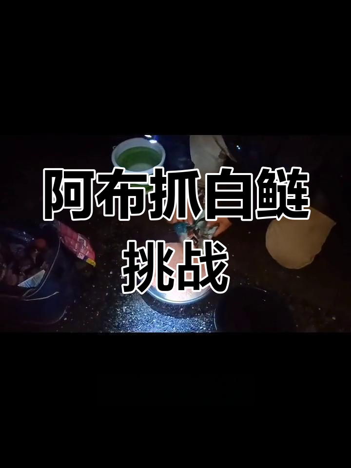 夜钓野塘遇小白鲢,阿布抓口挑战极限