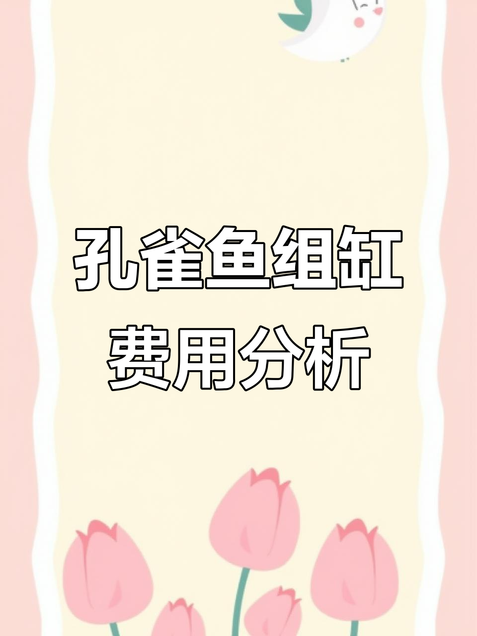 孔雀鱼组缸全套设备清单,预算参考来啦!