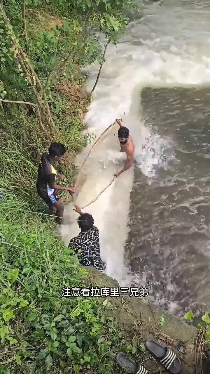 渔民湍急河里用巨抄网捕鱼,竟只捞到一条清道夫