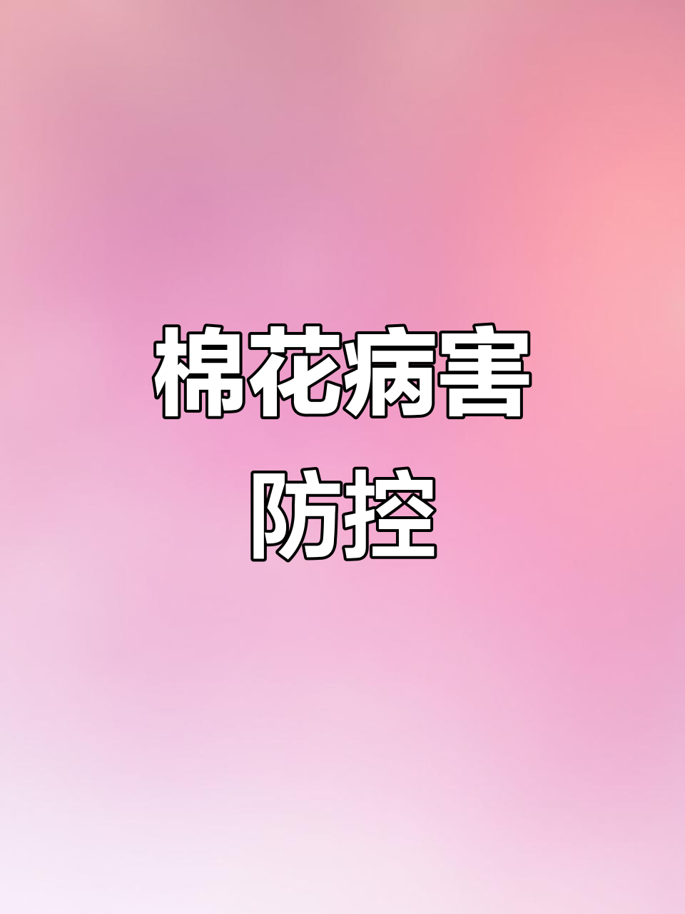 新疆棉花病虫害防治:风雨后的彩虹
