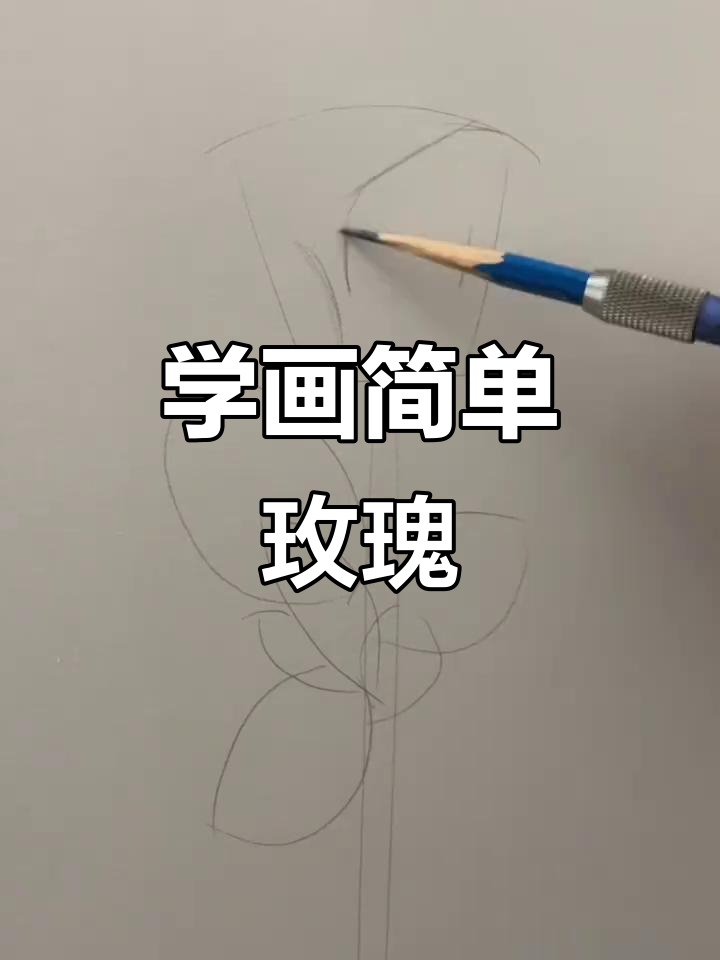 简单步骤教你画真实玫瑰花,轻松掌握素描技巧