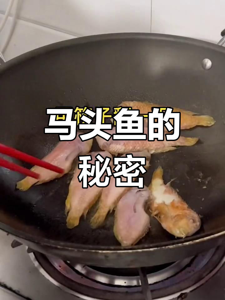 潮汕马头鱼,你叫它什么?