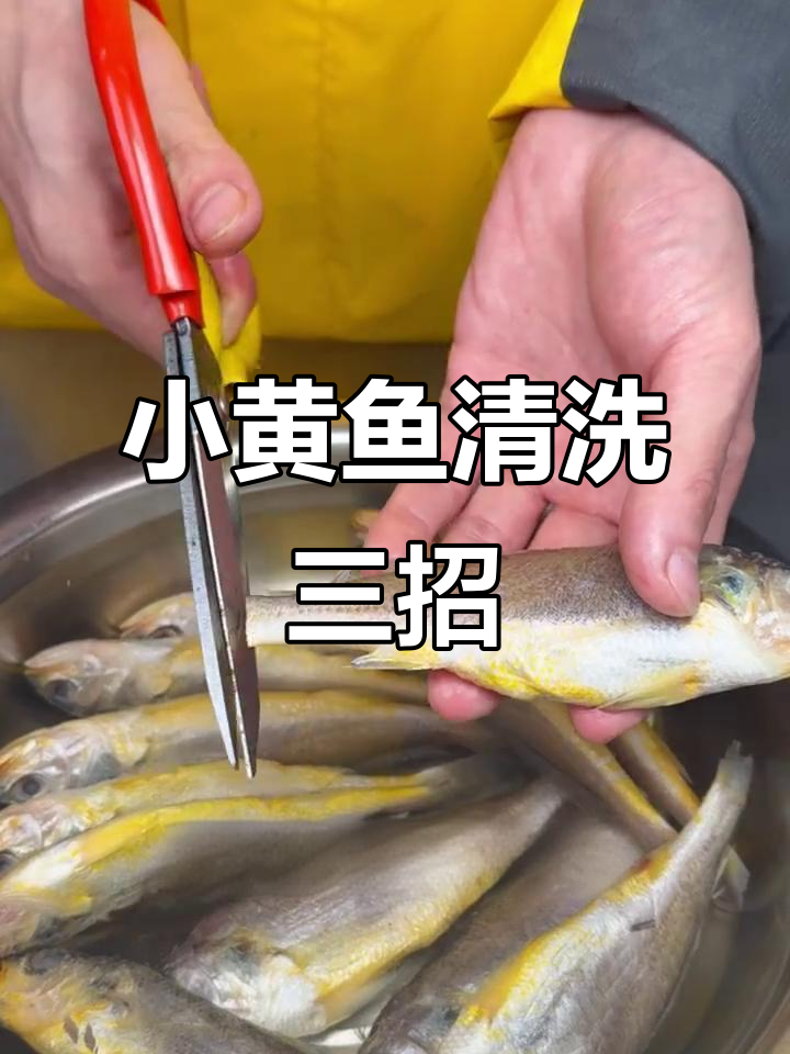 三步学会小黄鱼处理技巧,轻松去鳞内脏