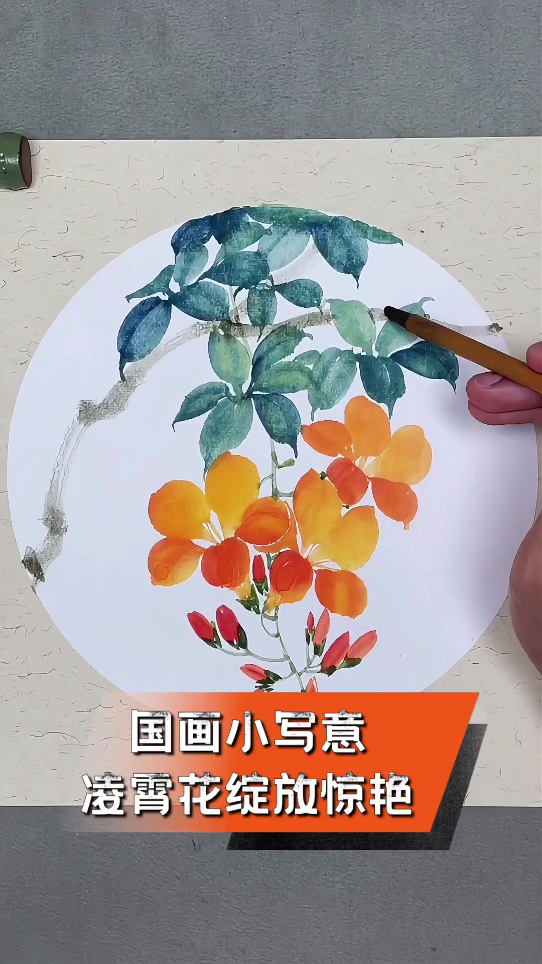 国画小写意,凌霄花绽放惊艳