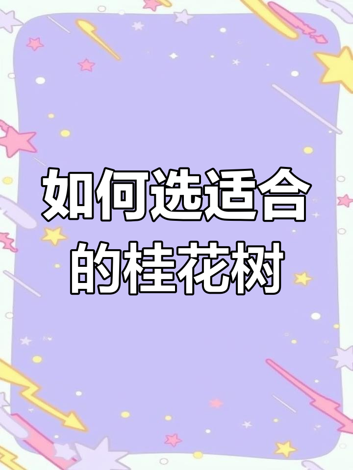 庭院桂花品种选择指南,如何挑选最适合你的树种