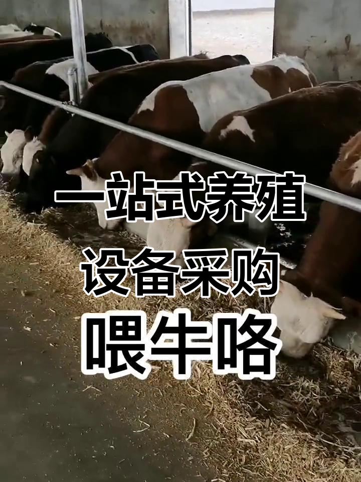 养殖设备一站式采购,牛羊场专用撒料机与搅拌机全解析