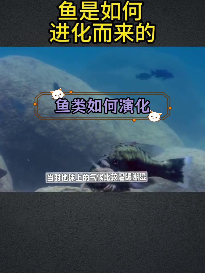 鱼类的进化历程揭秘