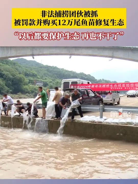 非法捕捞团伙被抓!被罚款并购买12万尾鱼苗修复生态,非法捕捞者张某:以后都要保护生态,再也