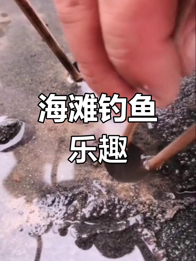 海边钓鱼新玩法,神奇吊香技巧
