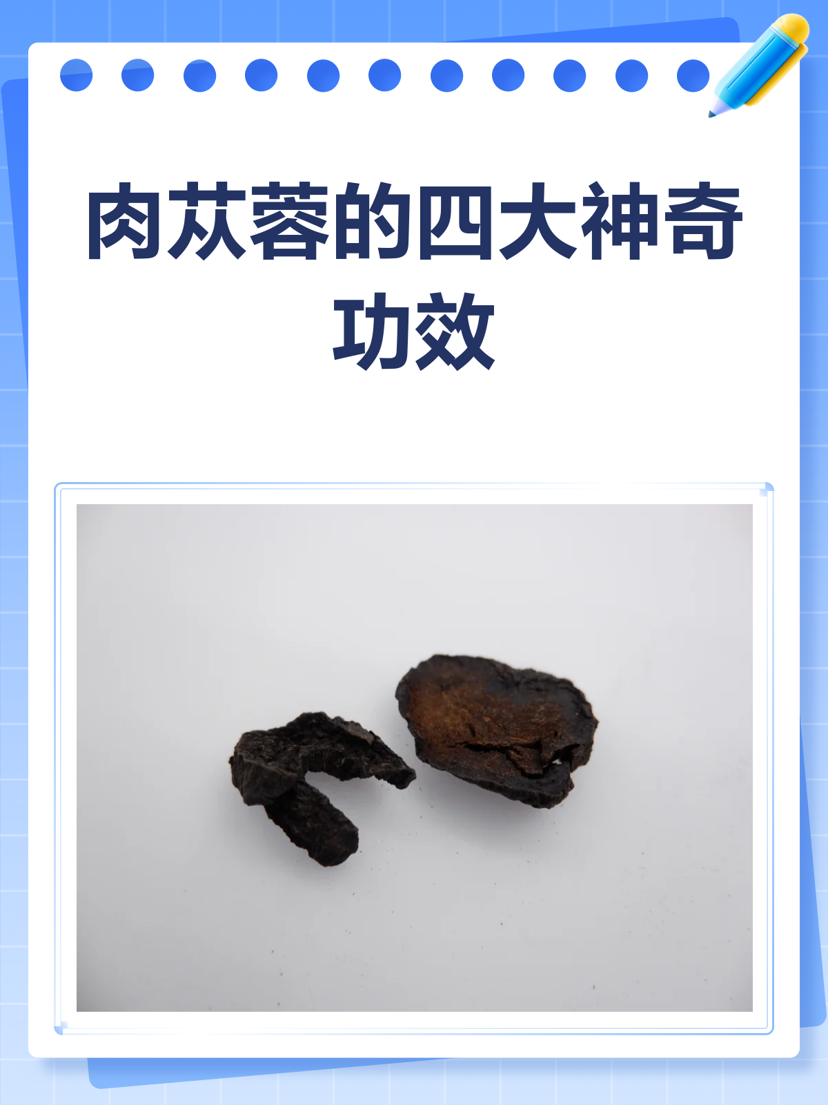 肉苁蓉,不只是补肾那么简单!