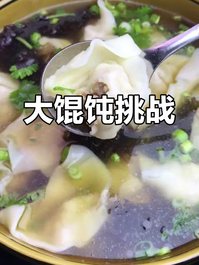 东北大馄饨与南方小馄饨的对比,哪个更好吃?