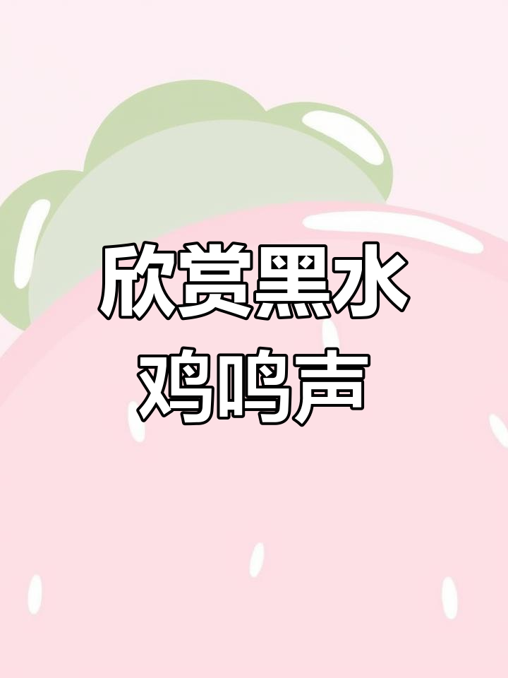 黑水鸡的独特叫声与美丽身姿
