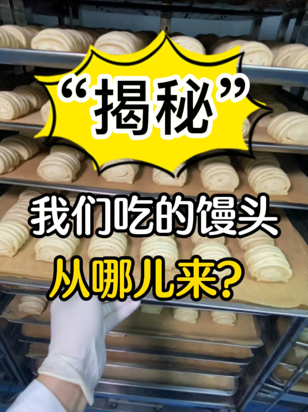 我们平时吃的馒头!竟然是从这儿来的!