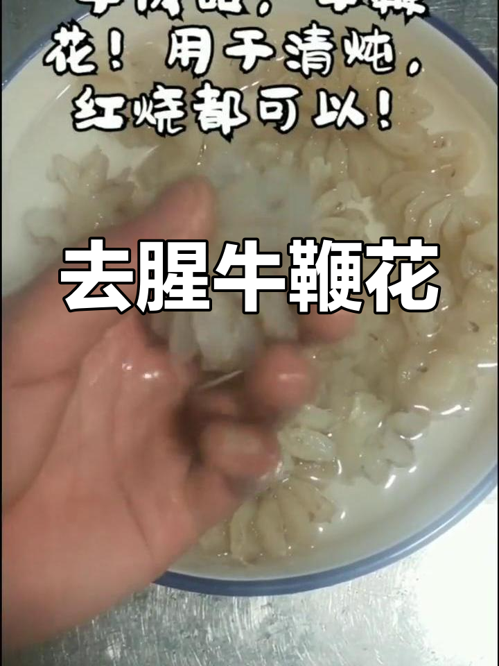 牛鞭花去腥技巧,清炖红烧皆宜