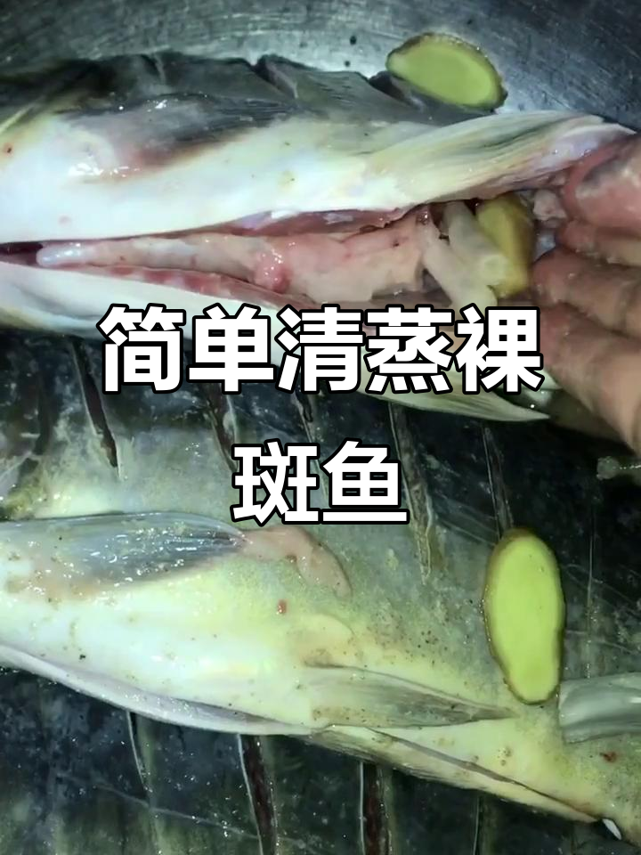 清蒸裸斑鱼,鲜嫩美味轻松做