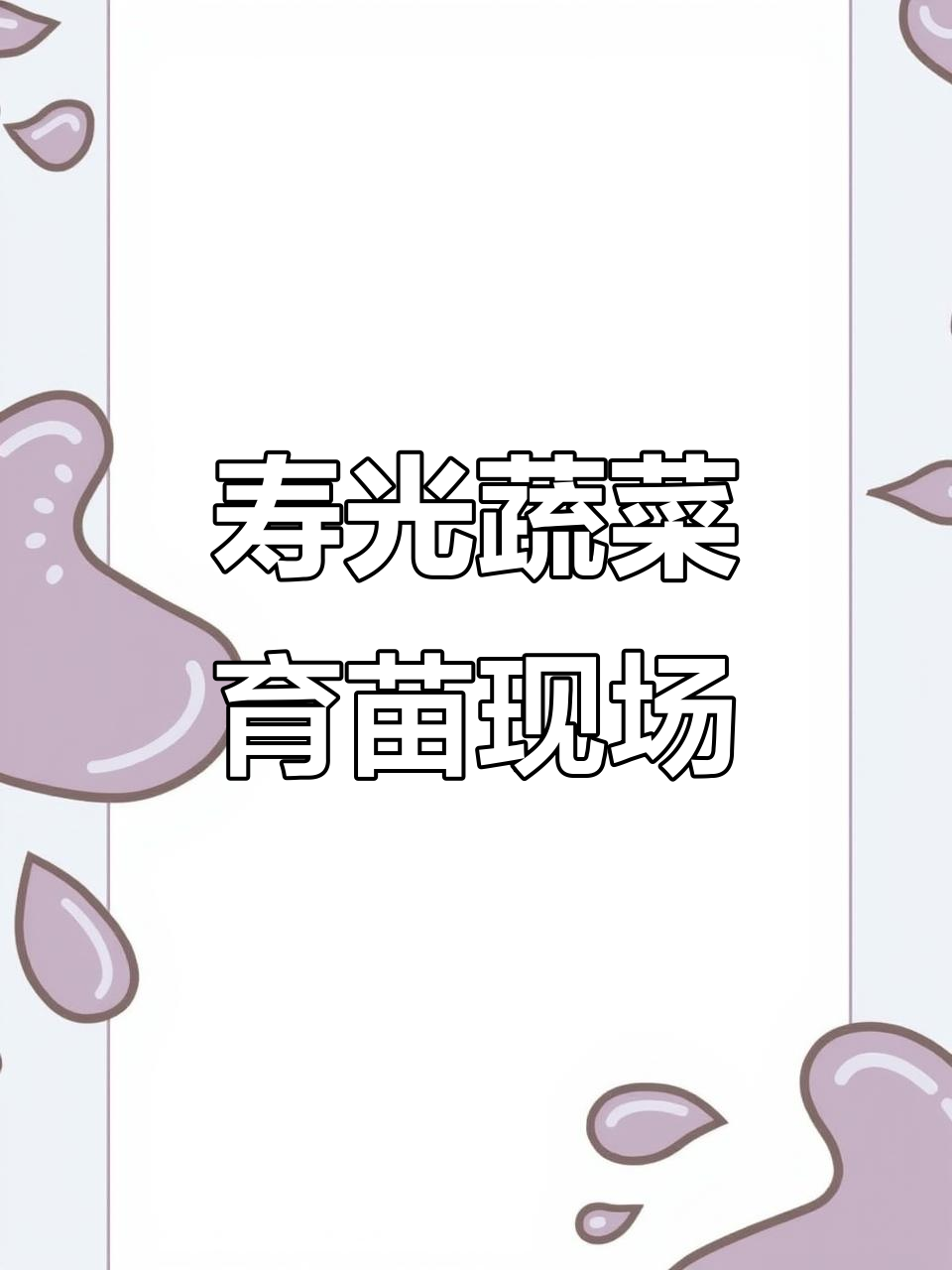 山东寿光蔬菜育苗基地,为辽宁客户提供优质含氯橄榄苗