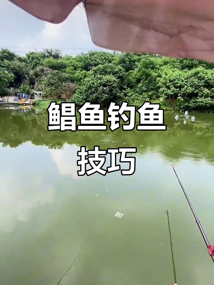 小鲳鱼开口快,大鲳夜钓深水区,勤逗接口更有效