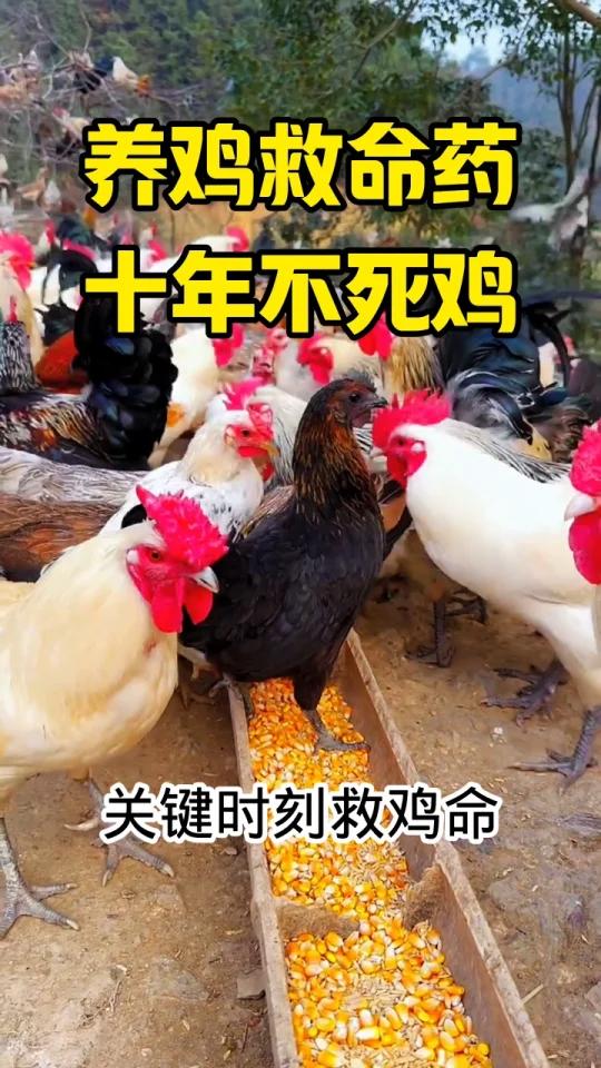分享视频