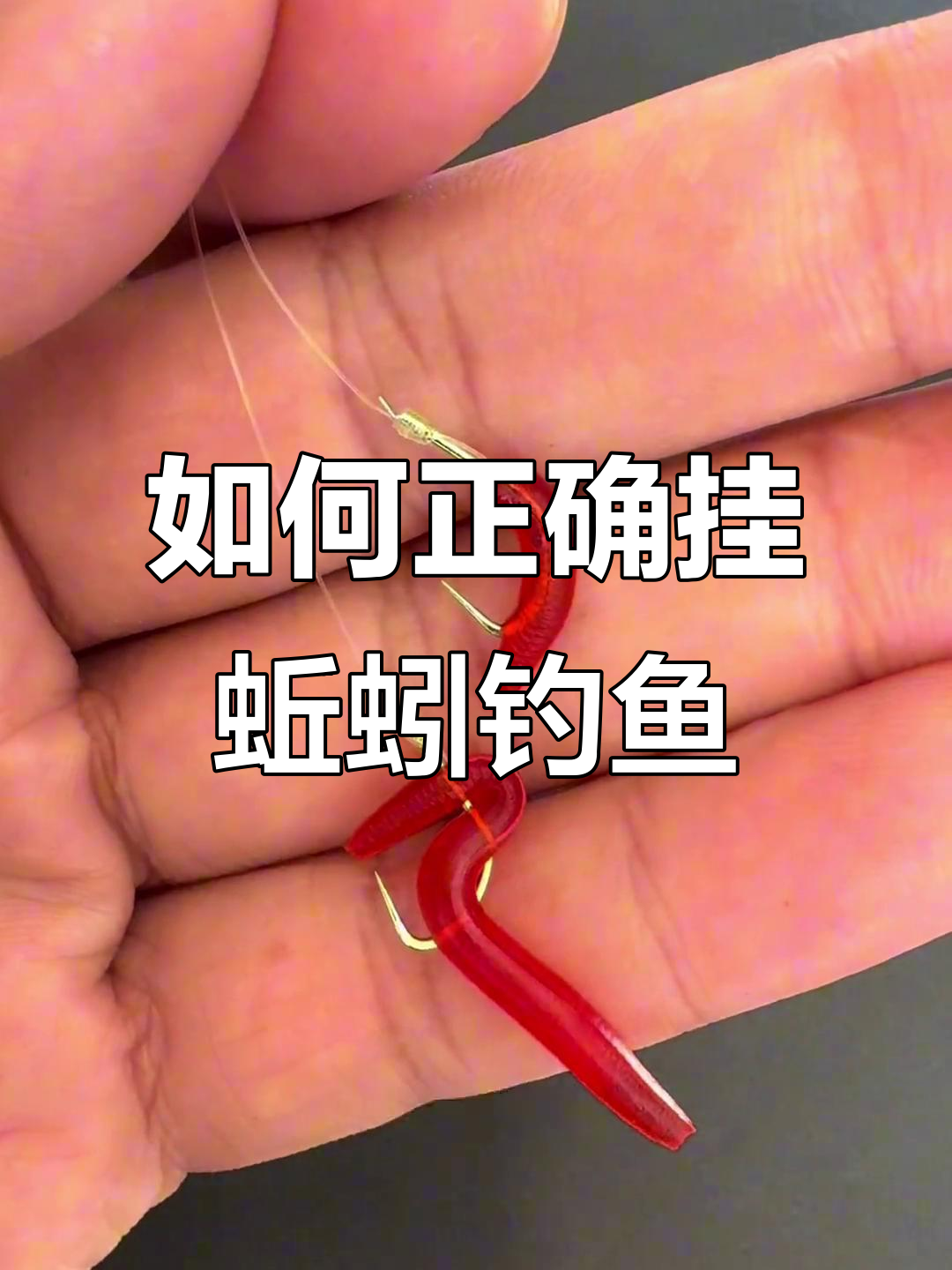 春天钓鲫必备技巧:蚯蚓挂钩的正确方法