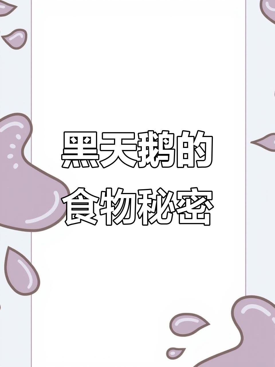 黑天鹅的天然食物:藻类、苔藓比面包更有营养