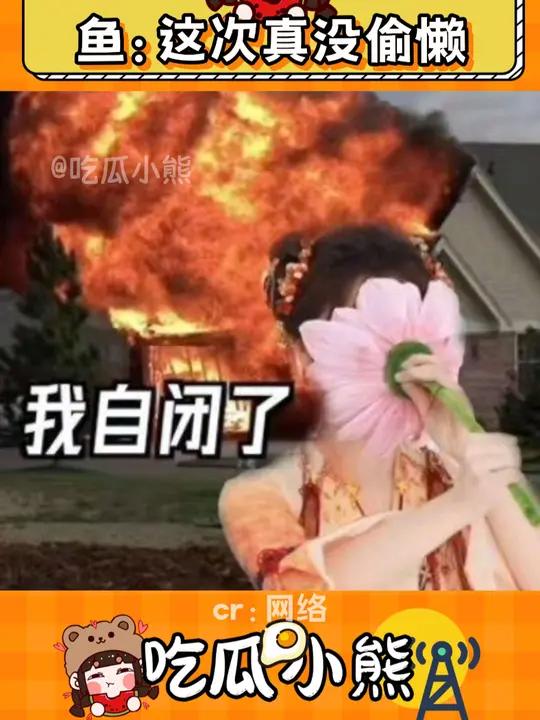 鱼:家人们谁懂啊!