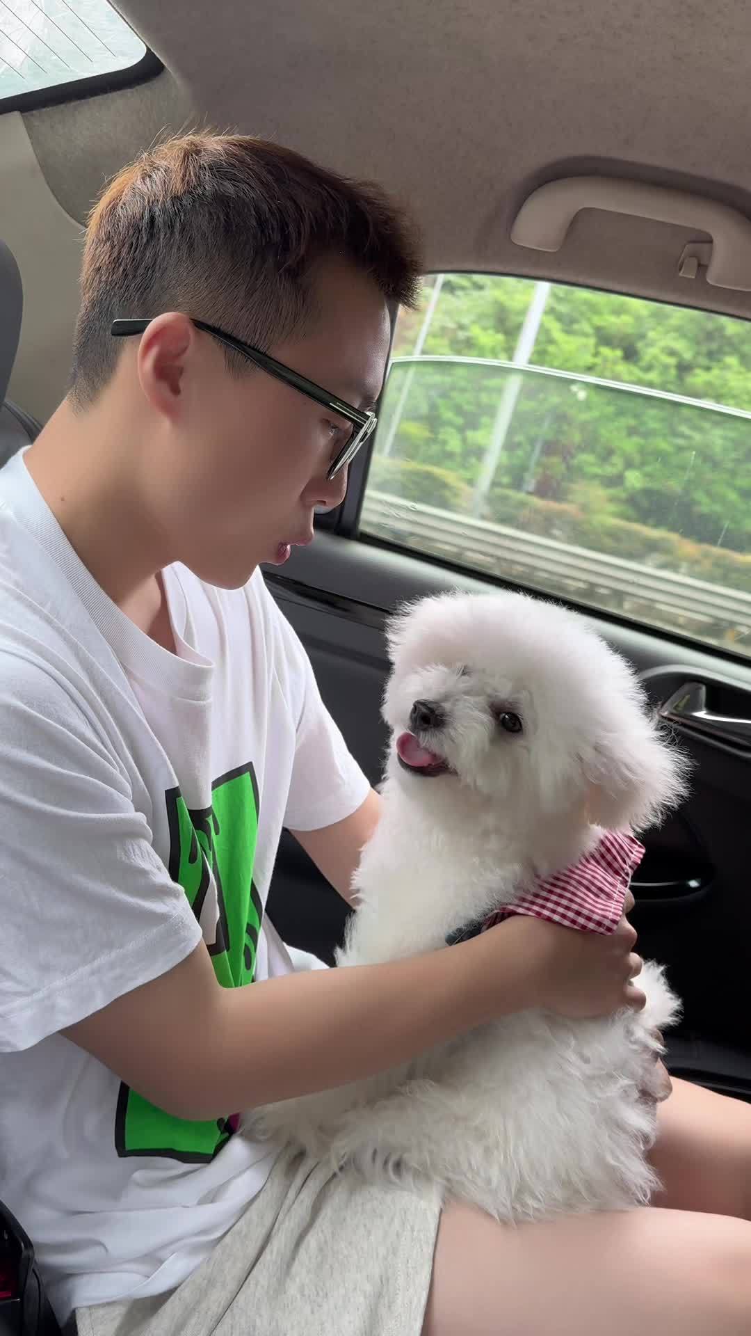 豪华人肉坐垫 小狗日记 比熊宝宝 被萌娃和狗狗治愈了