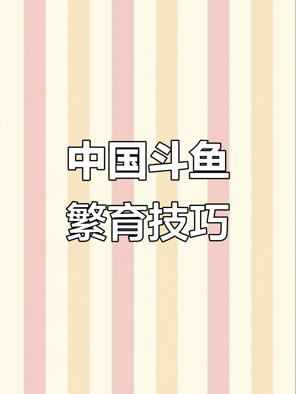 坚持热爱,中国斗鱼繁殖技术大揭秘