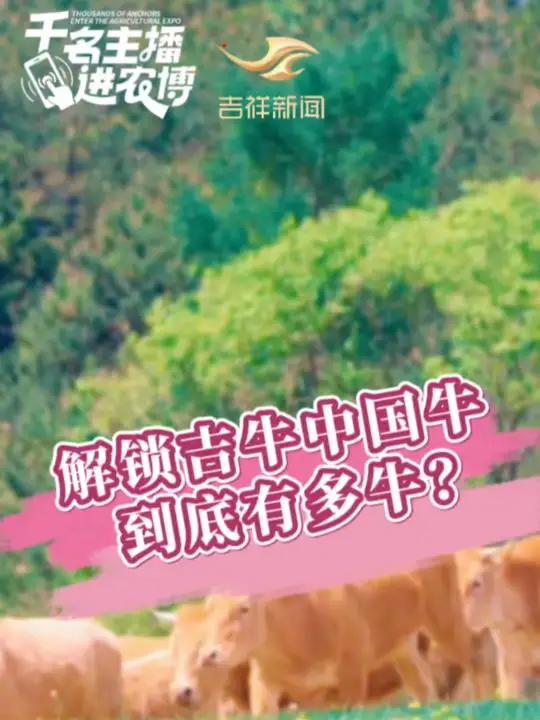相约2024长春农博会,解锁吉牛中国牛,到底有多牛?千名主播进农博