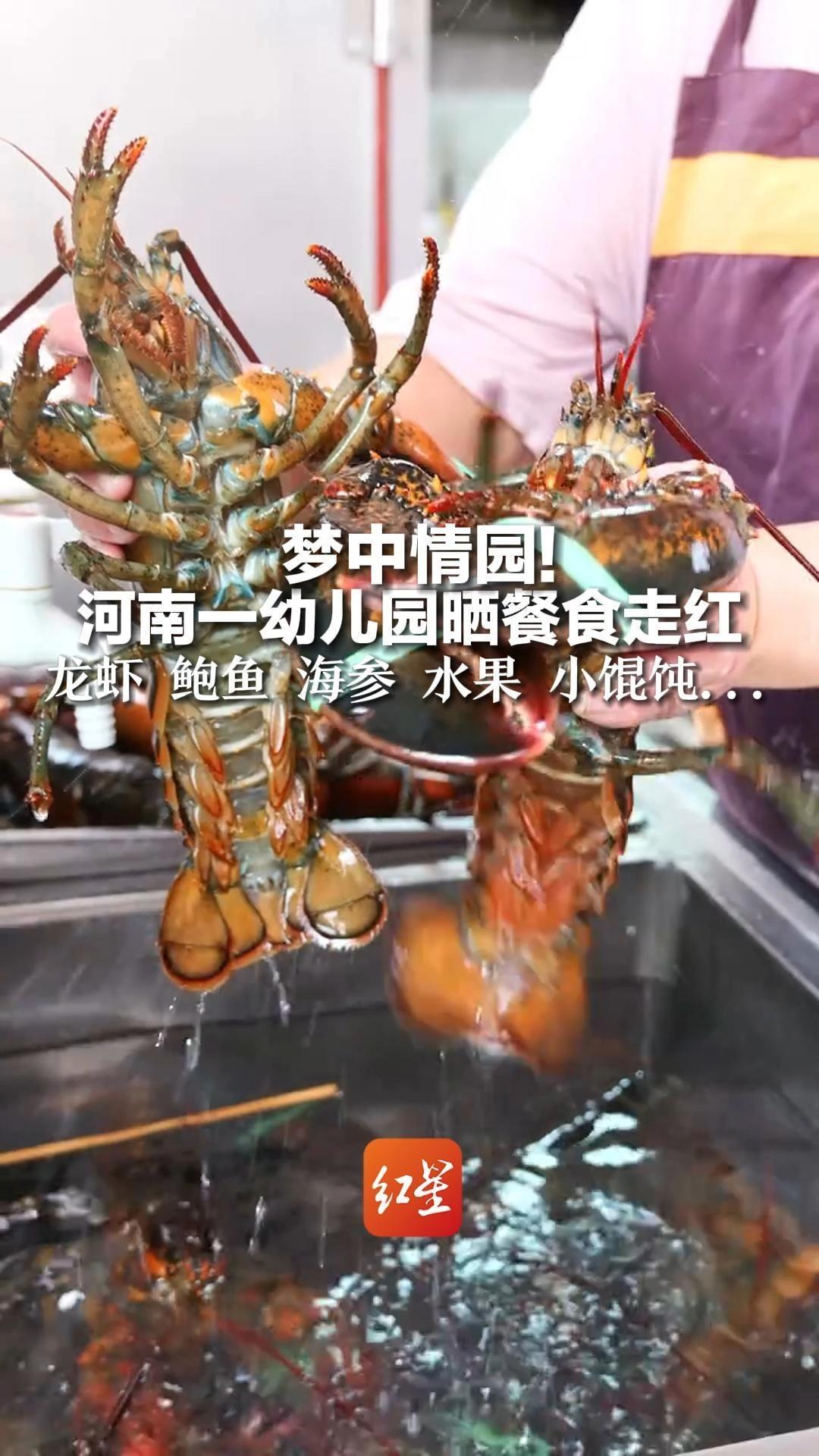 梦中情园!河南一幼儿园晒餐食走红,龙虾、鲍鱼、海参、水果、小馄饨……一天20元,食材丰富很
