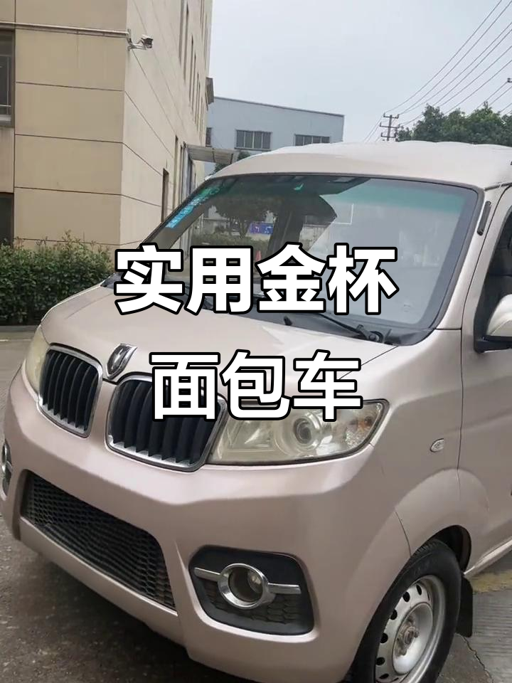 10月特惠!金杯小面包五座拉客货两用